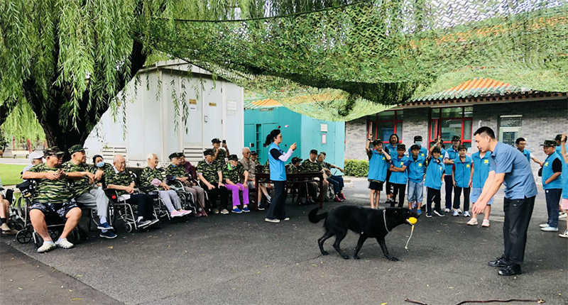 追忆峥嵘岁月,重温红色印记——寿山福海组织在院长者开展军旅体验夏令营