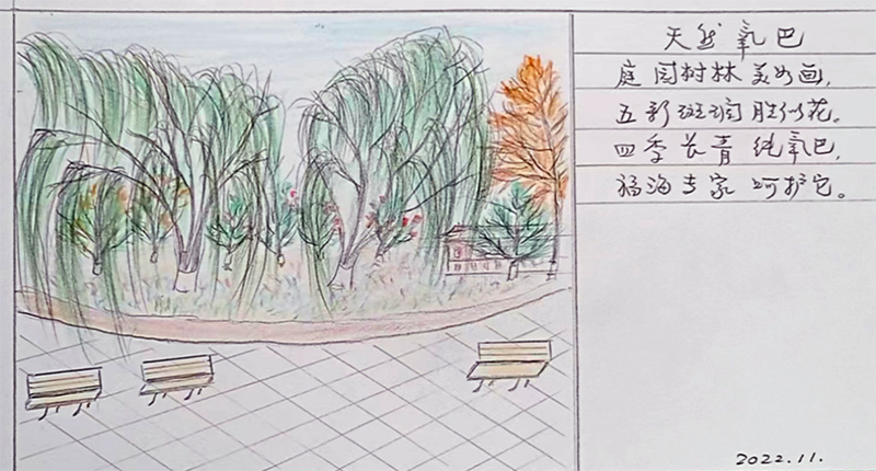 94岁爷爷与92岁奶奶,画笔下的养老院
